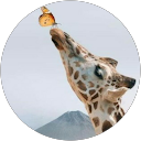 Ilaria profile picture